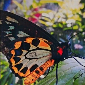 PHOTOGRAPHY ARTWORK BY BARILYN